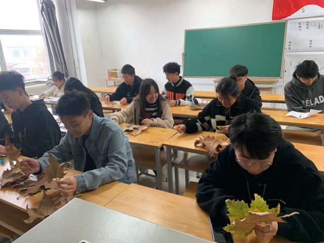 【完满班级】来自秋天的礼物 树叶的艺术——智能工程学院智能制造2101班完满班级活动