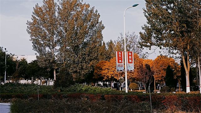 【完满班级】定格青春 光影映象——智能工程学院机制2001班完满班级活动