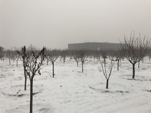 【前行】初雪的灵魂最是自由