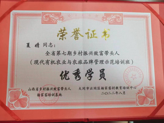 【2023年寒假“返家乡”社会实践】事迹合集(八)